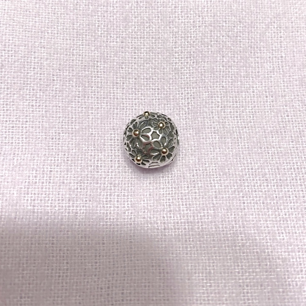 Pandora Clip